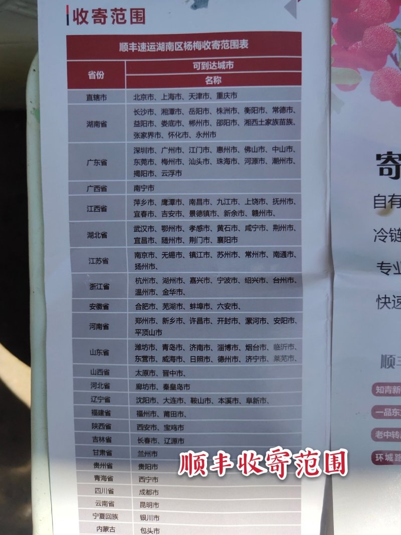 杨梅鲜果，深山杨梅，杨梅之乡，一箱四斤顺丰冷链包邮