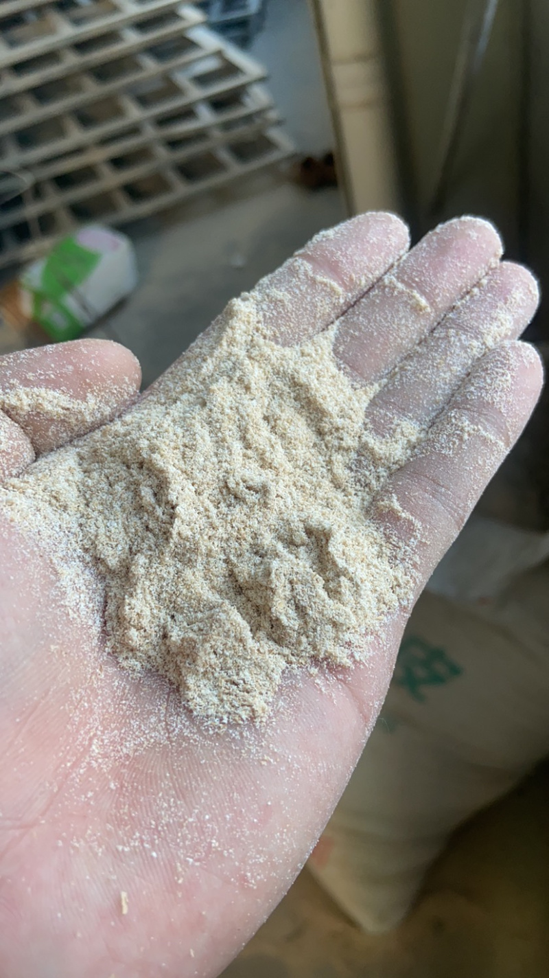 雪荣面粉厂3.0次粉厂家批发32吨起批