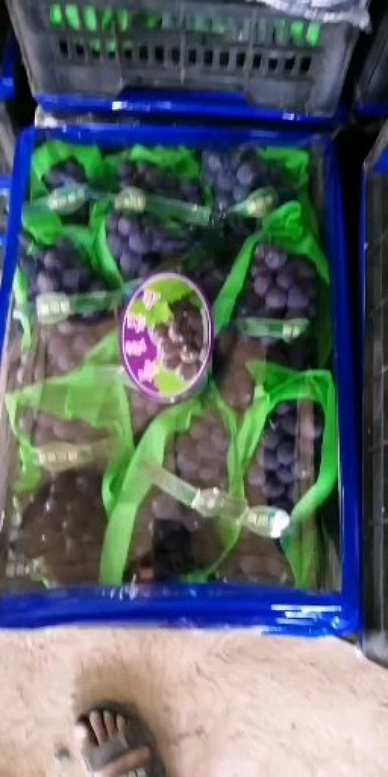 夏黑葡萄全国发，价格美丽口感好，欢迎全国客商来电低价甩卖