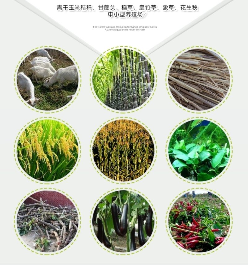 畜牧养殖设备粉碎机铡草机揉丝机，家用照明电揉丝机干湿两用