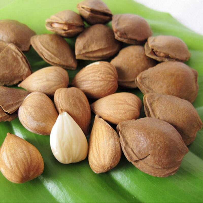 银杏干果【小银杏】口味纯正，一件代发全国包邮