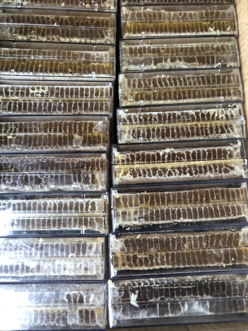 20每盒580克每盒，价低量大，纯蜜蜂巢蜜批发