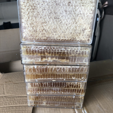 20每盒580克每盒，价低量大，纯蜜蜂巢蜜批发