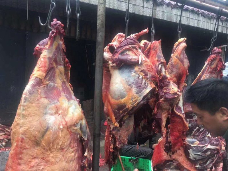 阿坝州牦牛肉正宗牦牛肉批发批发
