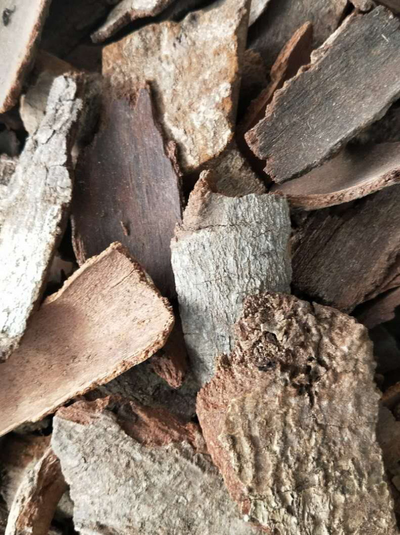 地枫皮【包邮】三斤起发货可批量可零售量大从优