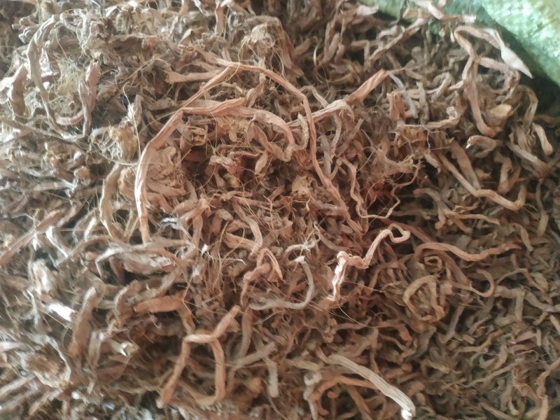 黄花菜根～1公斤起售～质量好，价格便宜，欢迎咨询采购