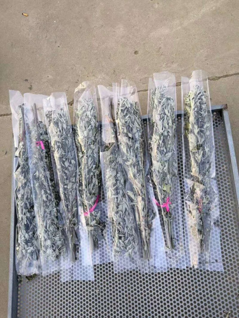 端午艾全棵