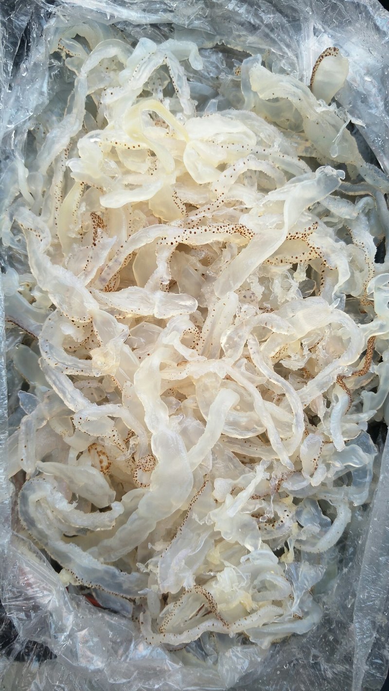 海蜇