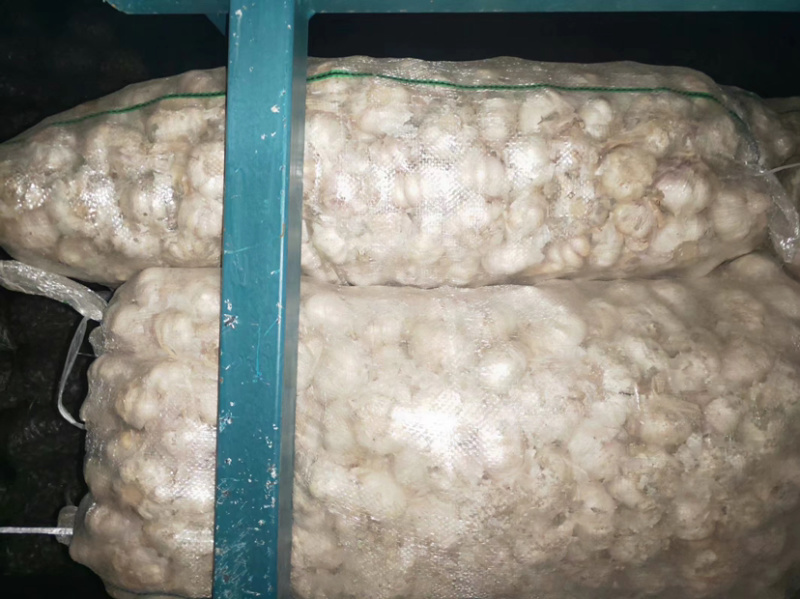 大蒜红皮紫皮精品大蒜市场大蒜蒜米料太空大蒜电商平台金乡