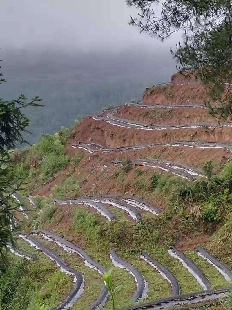黑色地膜白色地膜除草膜厂家直销量大可优惠