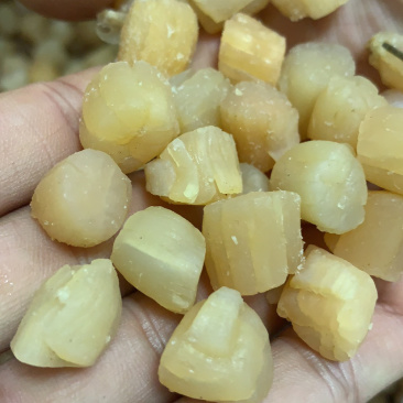 干贝干，干贝干，干贝干，干贝干，干贝干，
