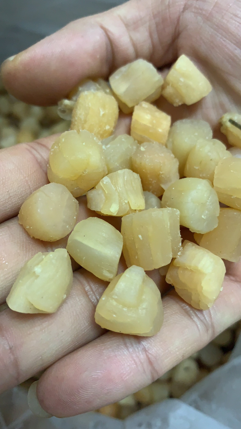 干贝干，干贝干，干贝干，干贝干，干贝干，