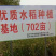702亩种植基地，保质保量宜兴本土明星品牌