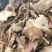 【文斌药业】独活大统货无硫地道药材