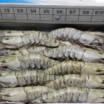 越南全规格生冻草虾650克*6盒