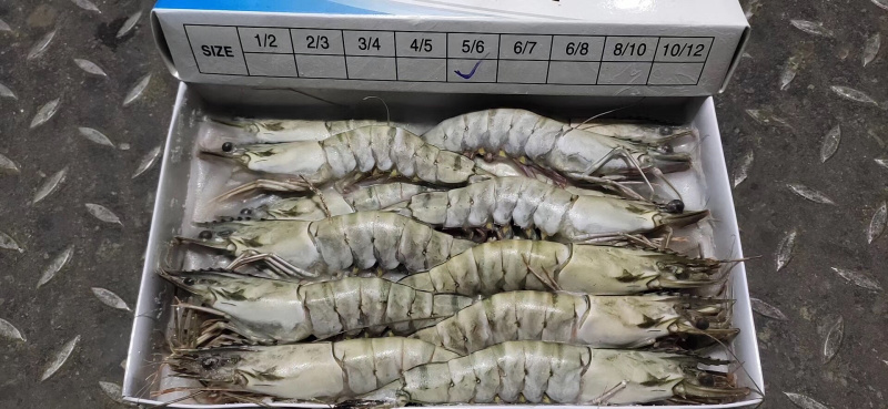 越南全规格生冻草虾650克*6盒