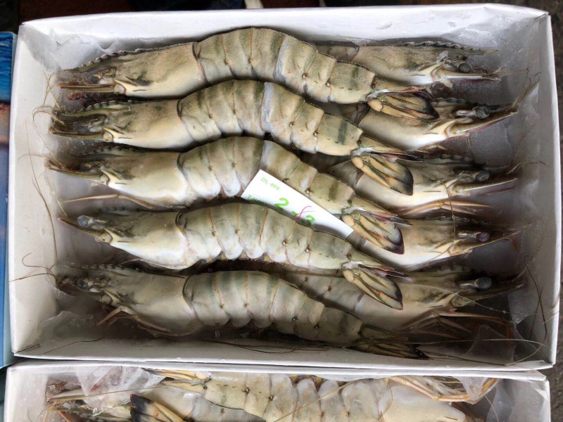 越南全规格生冻草虾650克*6盒
