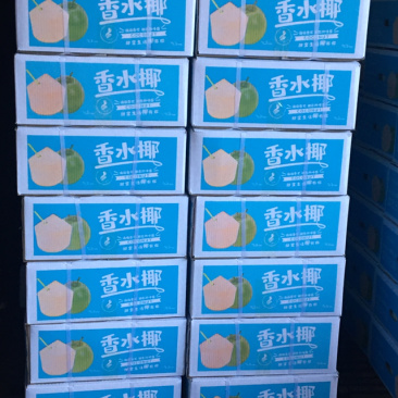 海南椰子热带水果可全国发货可以视频看货欢迎咨询