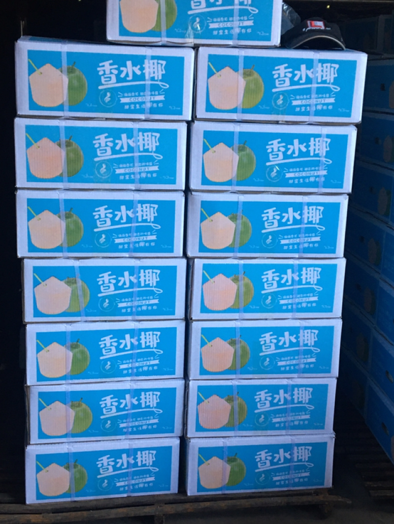 海南椰子热带水果可全国发货可以视频看货欢迎咨询