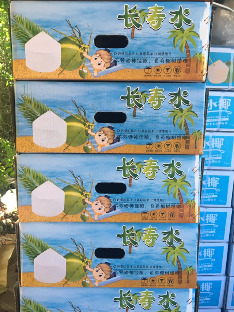 海南椰子热带水果可全国发货可以视频看货欢迎咨询