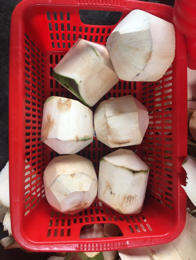 海南椰子热带水果可全国发货可以视频看货欢迎咨询
