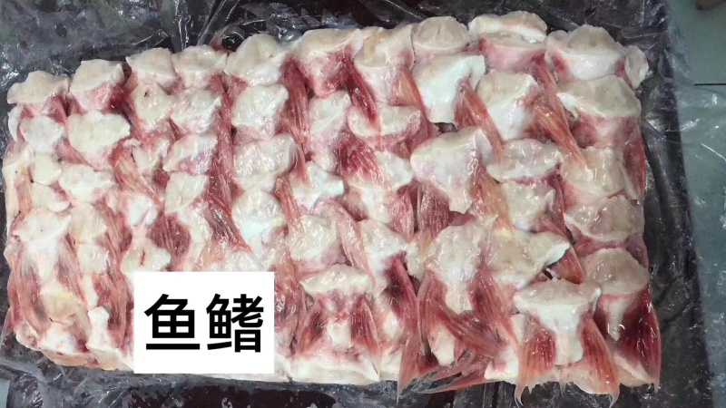 越南正关10公斤/件巴沙鱼鱼鳍