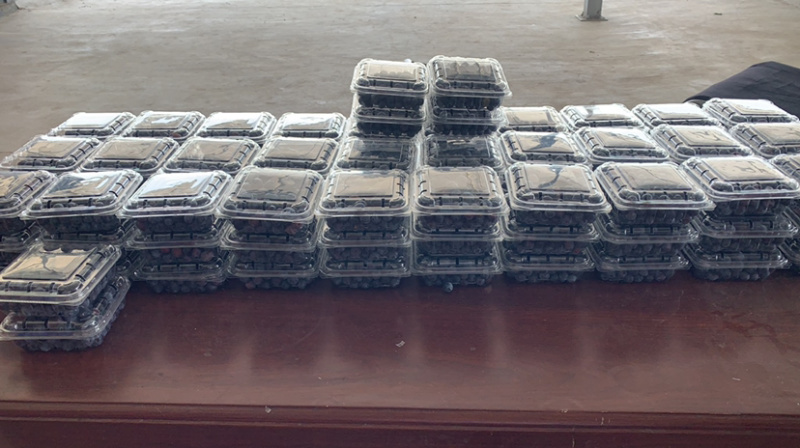 细致筛选大量供应优质蓝莓供应商超水果店批发市场