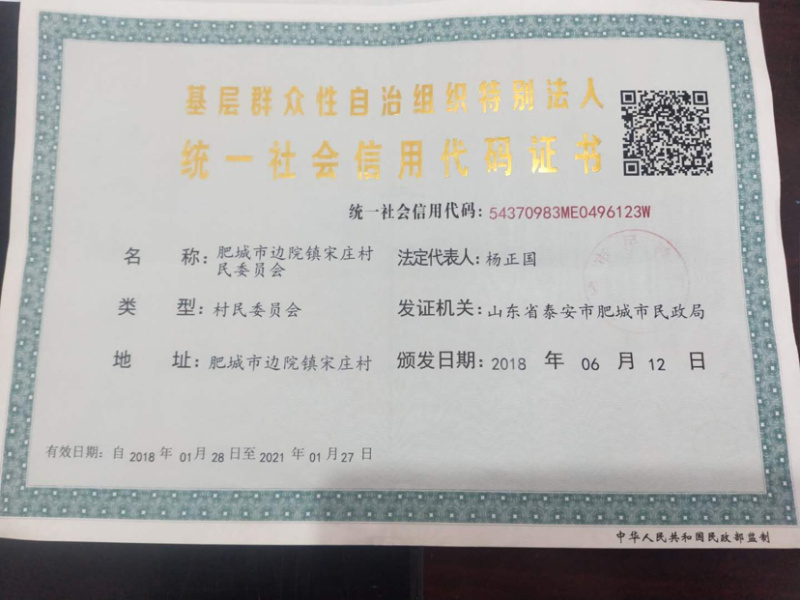 细致筛选大量供应优质蓝莓供应商超水果店批发市场