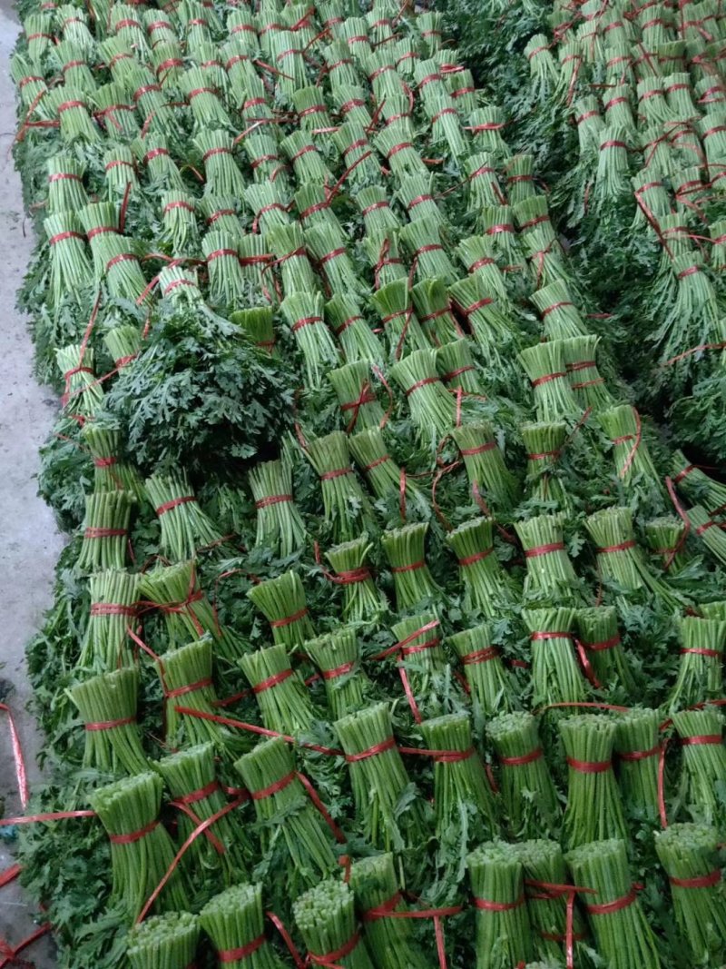 精品茼蒿大量有货，精品泡沫箱