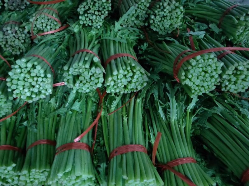 精品茼蒿大量有货，精品泡沫箱