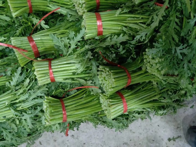精品茼蒿大量有货，精品泡沫箱