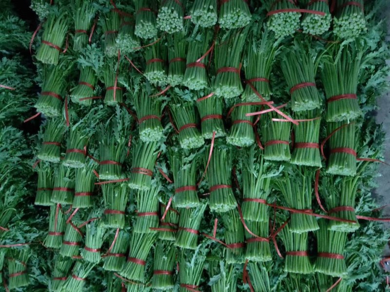 精品茼蒿大量有货，精品泡沫箱