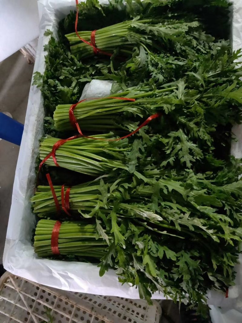 精品茼蒿大量有货，精品泡沫箱