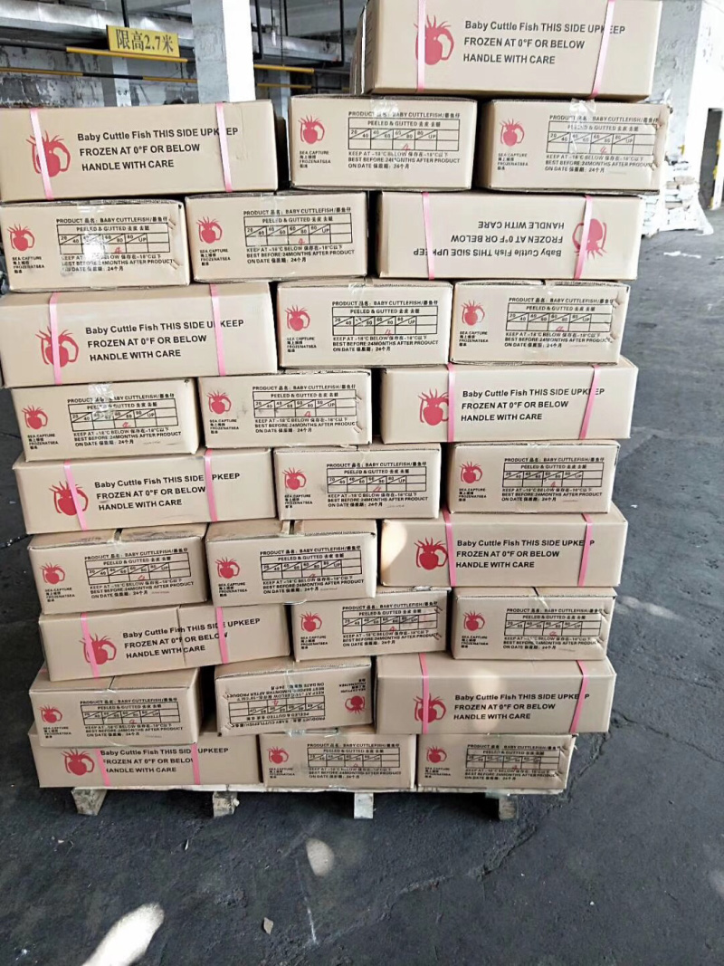 高品质精选10公斤/件墨鱼仔