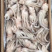 5公斤/件板冻阿根廷300-400鱿鱼头