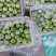 山东辽伏苹果辽伏苹果产地批发质量好口感脆甜全国发货