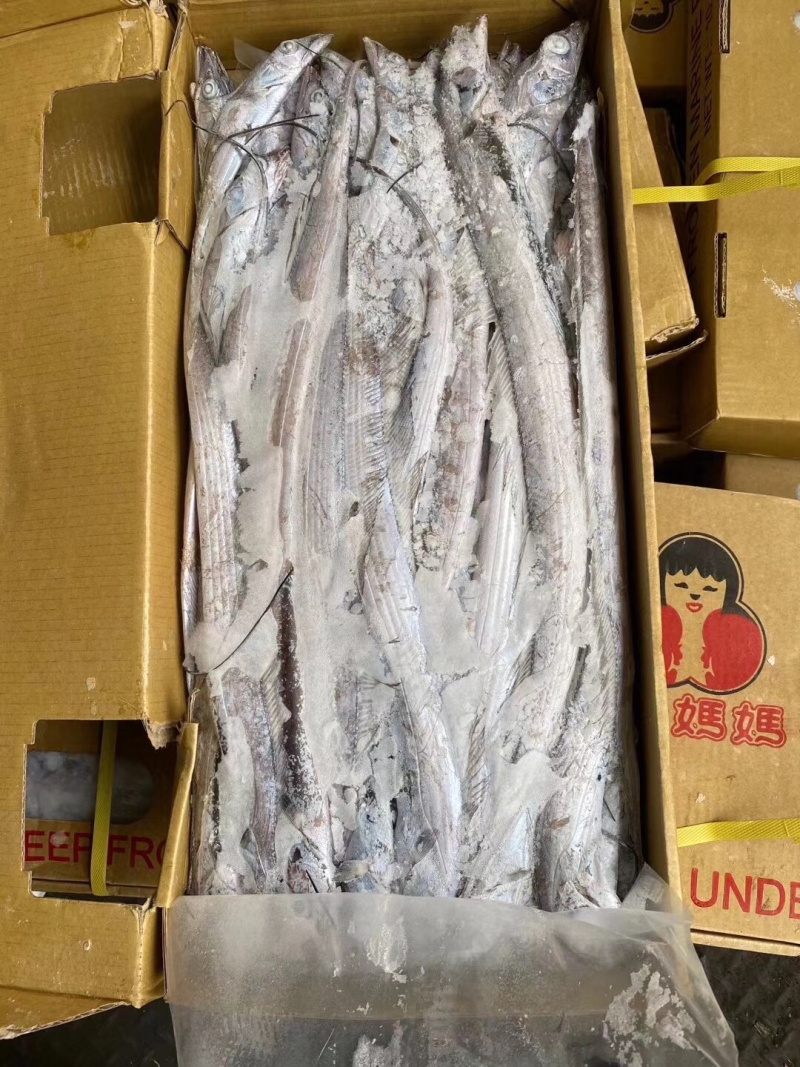 进口食堂专用全规格10公斤/件带鱼