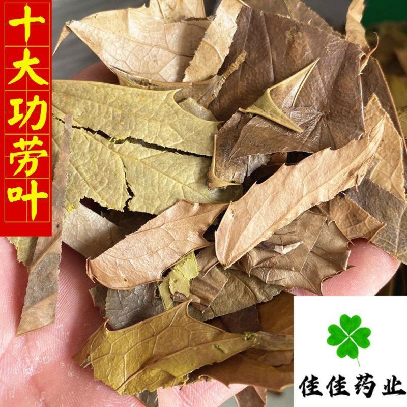 十大功劳叶产地直销量大从优供应各种中药材