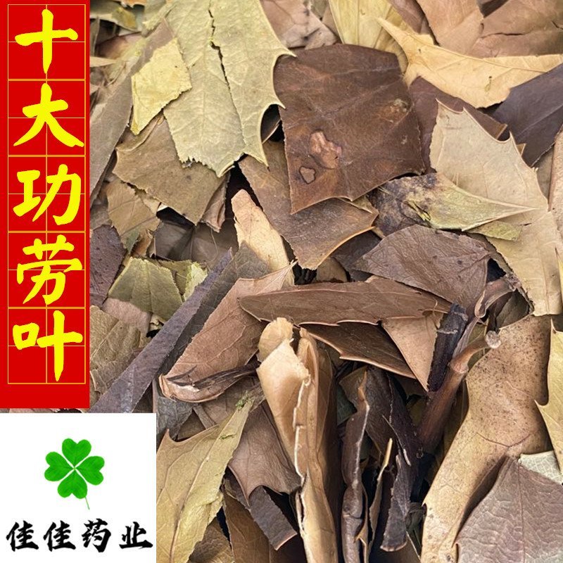 十大功劳叶产地直销量大从优供应各种中药材