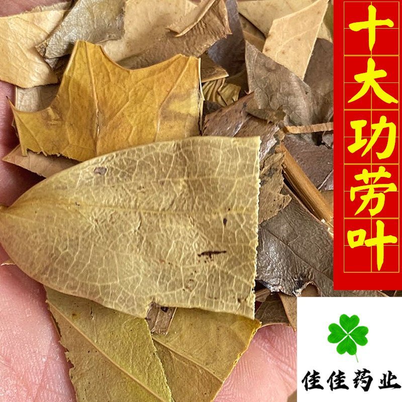 十大功劳叶产地直销量大从优供应各种中药材
