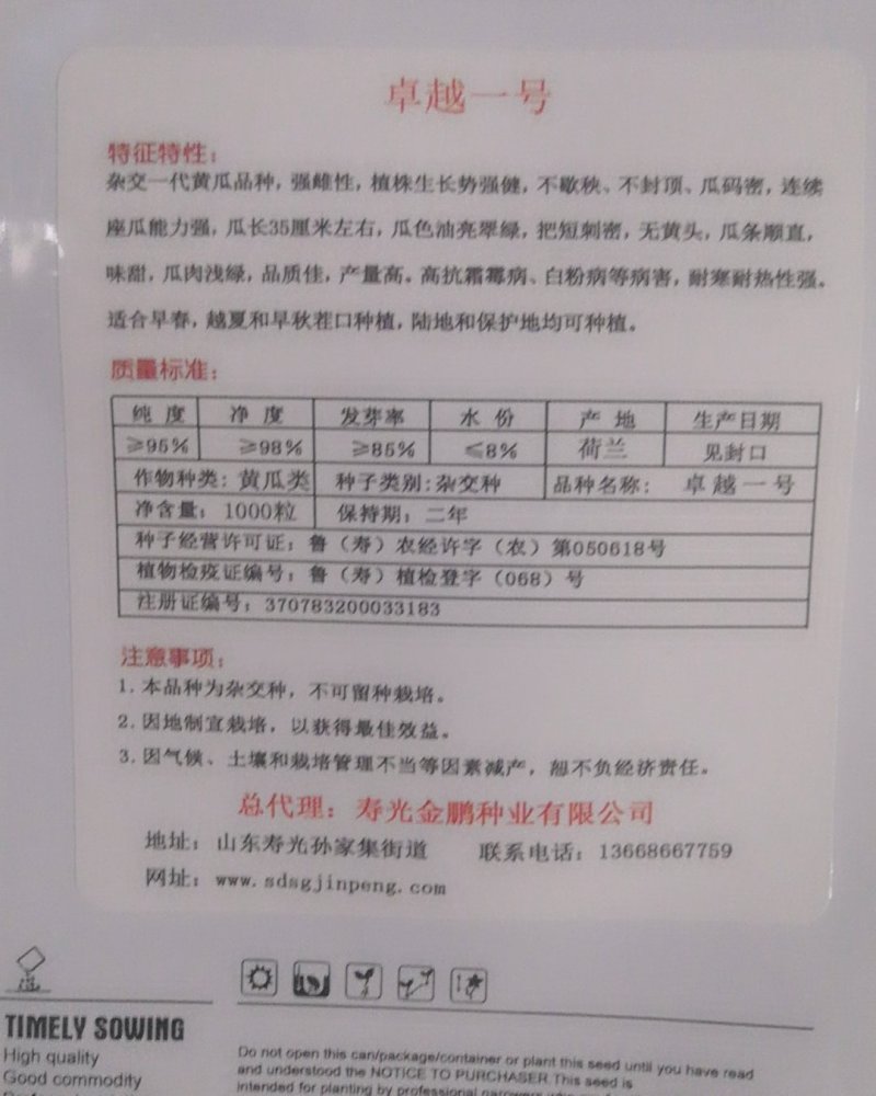 卓越一号高产优质强雌短把油亮高产黄瓜种