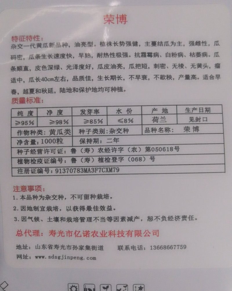 越夏秋延迟专用荣博黄瓜种子直播就是油亮的短把密刺