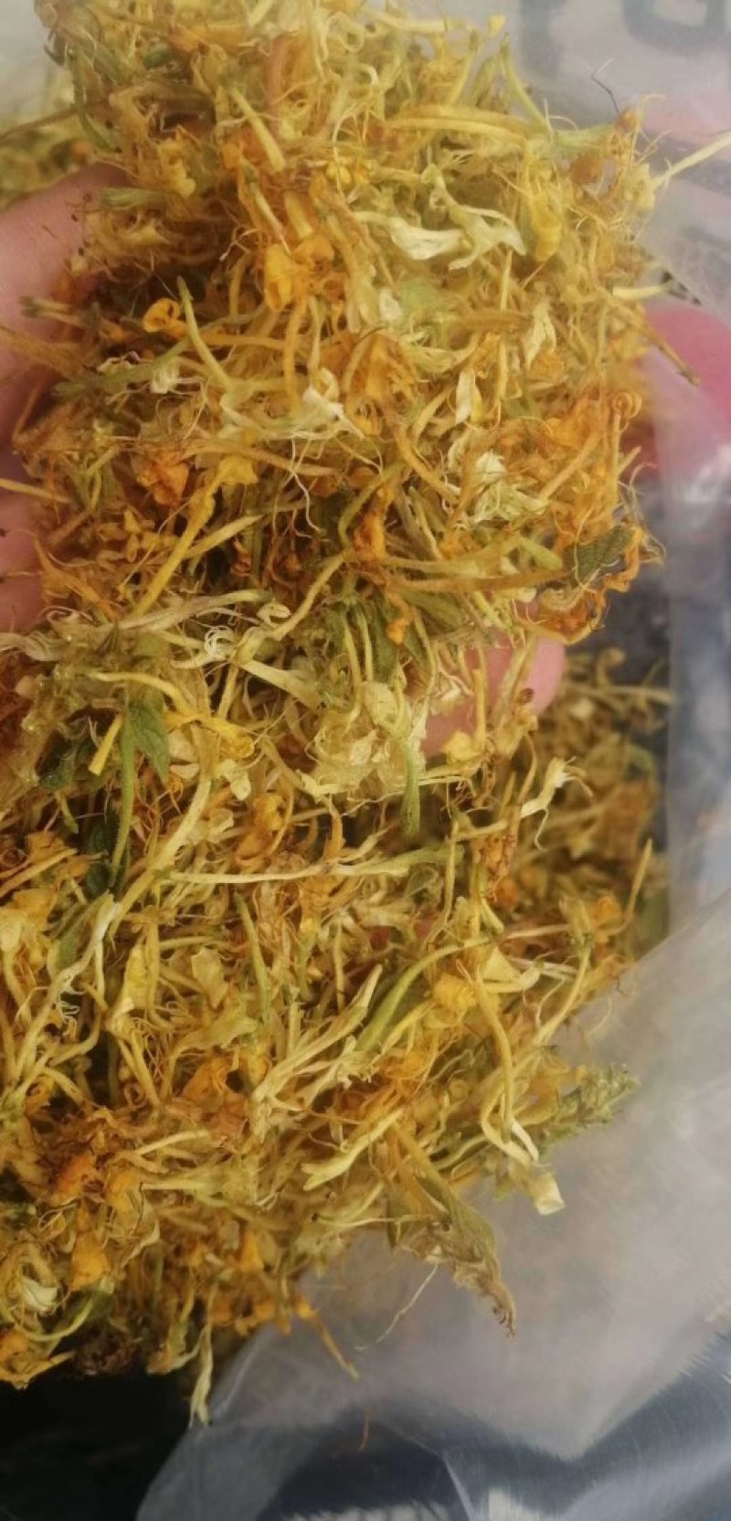 金银花忍冬，泡水茶花，农家自晒烘干野生无硫！