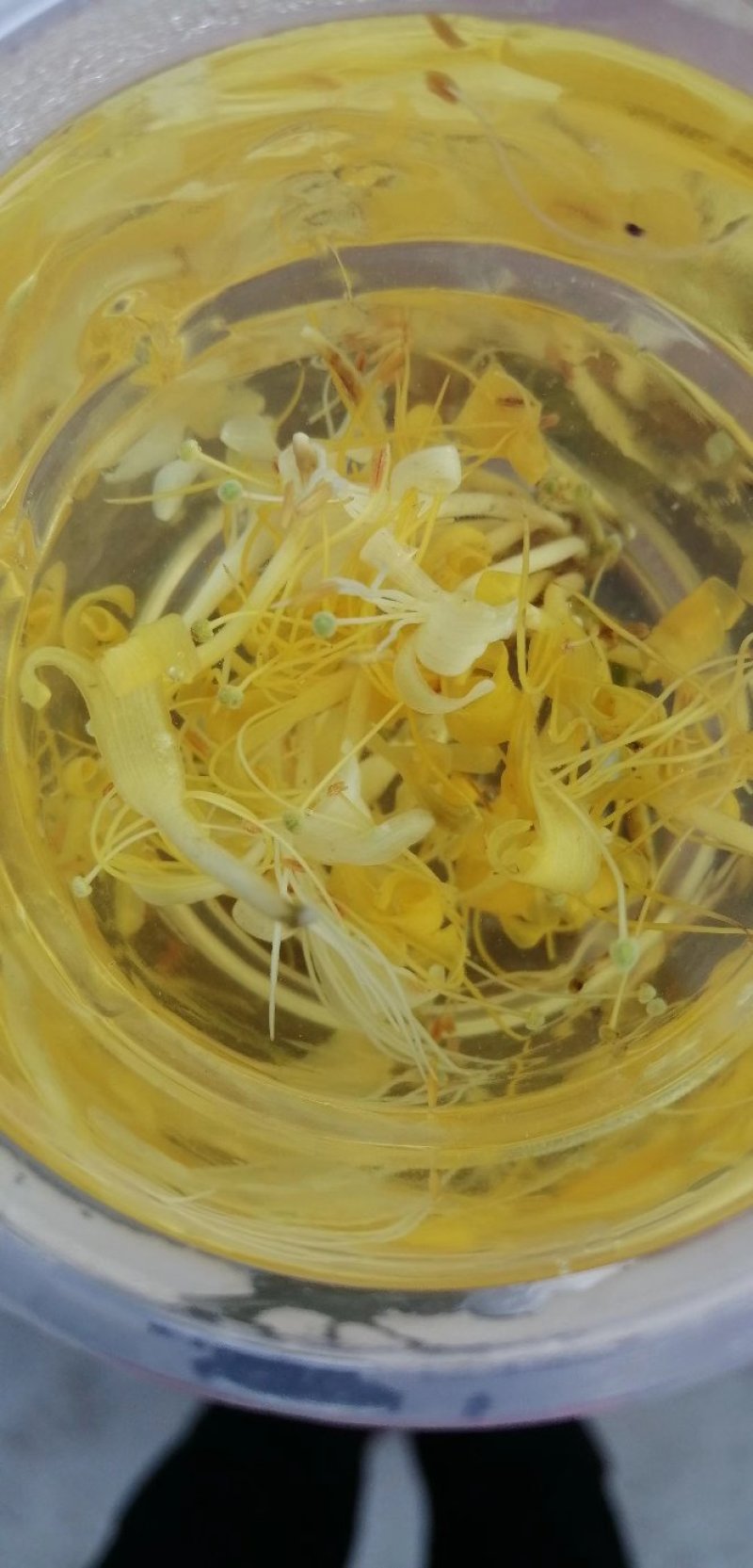 金银花忍冬，泡水茶花，农家自晒烘干野生无硫！
