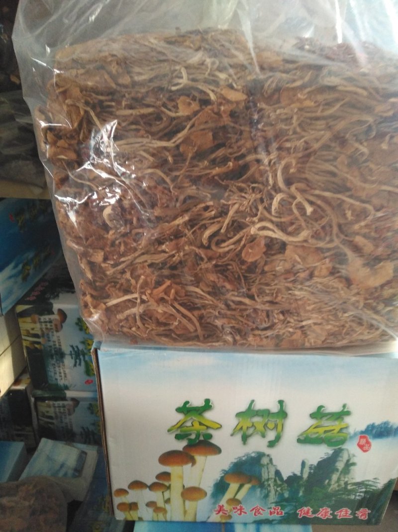 茶树菇可以干锅炖汤，炒菜清香脆爽老少皆宜。
