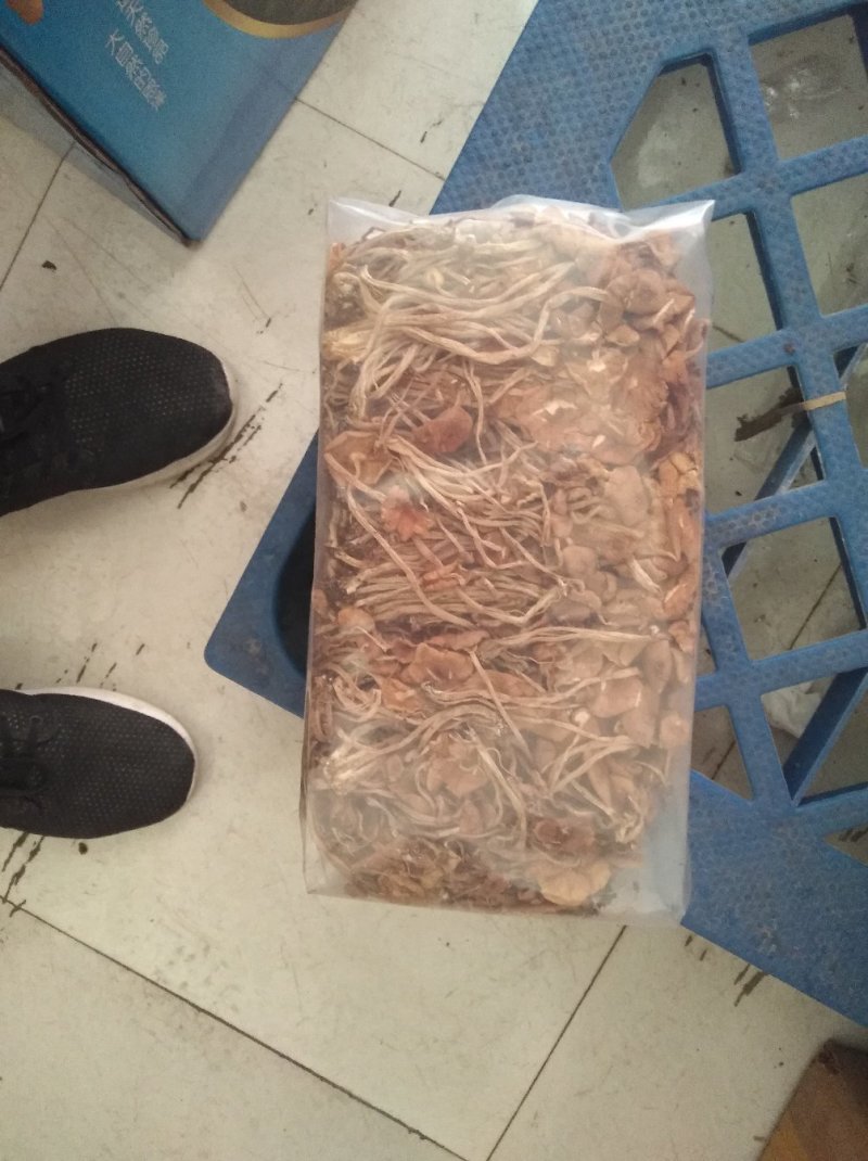 茶树菇可以干锅炖汤，炒菜清香脆爽老少皆宜。
