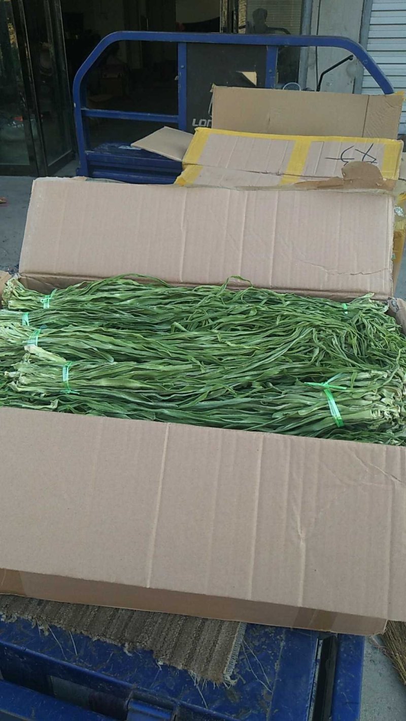 精品贡菜