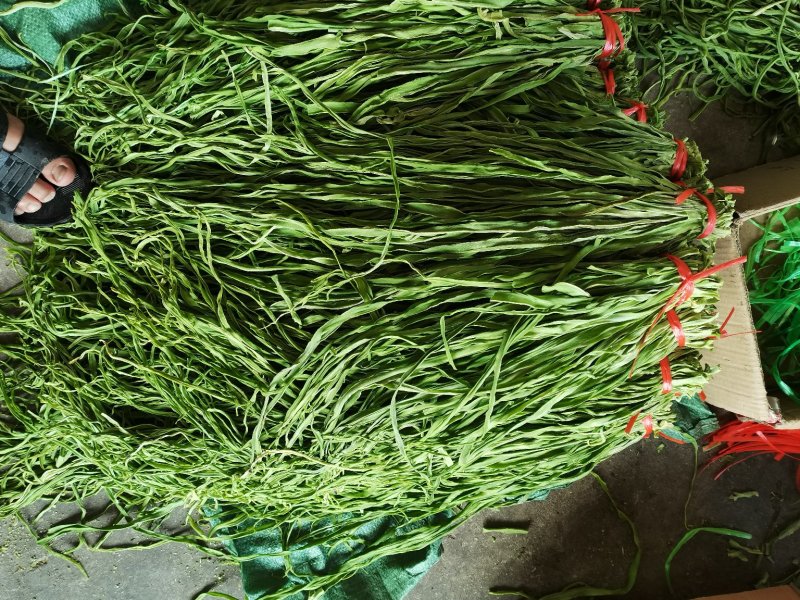 精品贡菜