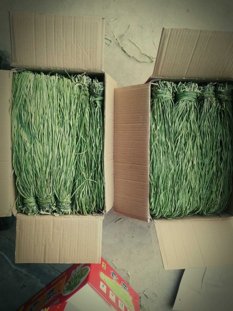 野菜特菜