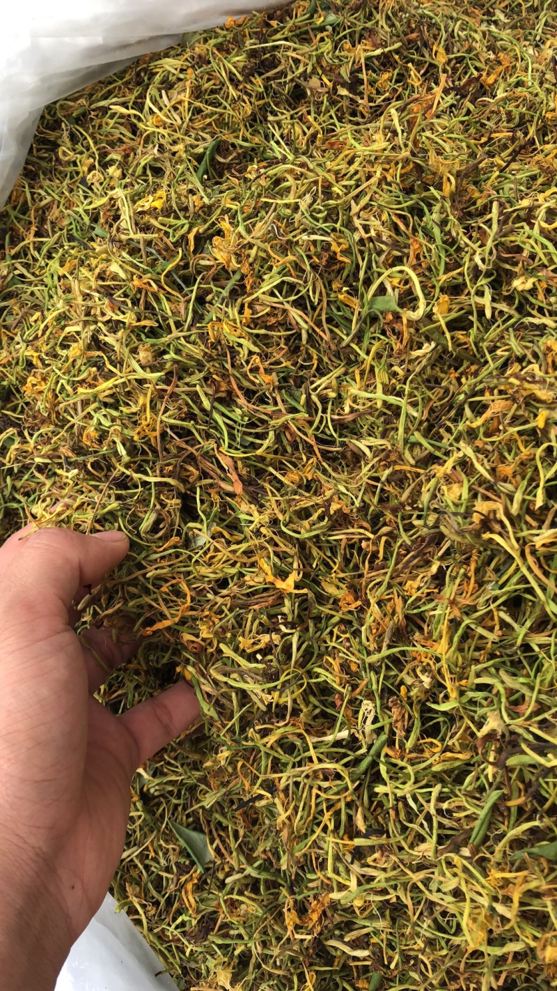 金银花野生货今年新货足干味道香质量好